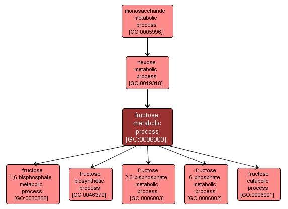 GO:0006000 - fructose metabolic process (interactive image map)