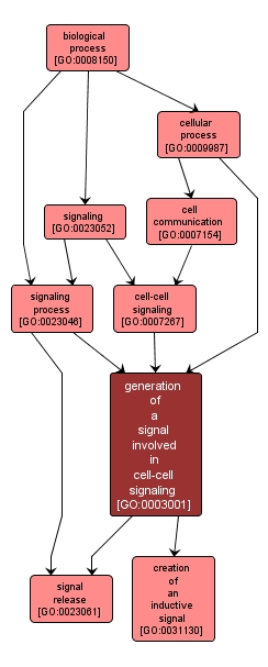 GO:0003001 - generation of a signal involved in cell-cell signaling (interactive image map)