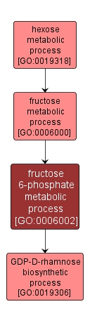 GO:0006002 - fructose 6-phosphate metabolic process (interactive image map)