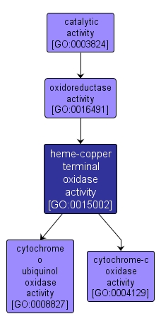 GO:0015002 - heme-copper terminal oxidase activity (interactive image map)