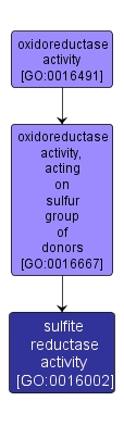 GO:0016002 - sulfite reductase activity (interactive image map)
