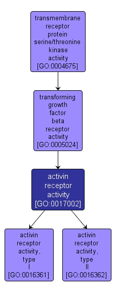 GO:0017002 - activin receptor activity (interactive image map)