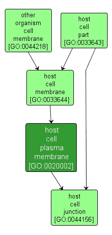 GO:0020002 - host cell plasma membrane (interactive image map)
