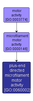 GO:0060002 - plus-end directed microfilament motor activity (interactive image map)
