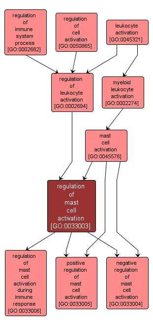 GO:0033003 - regulation of mast cell activation (interactive image map)