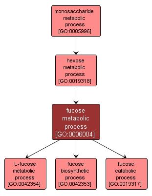 GO:0006004 - fucose metabolic process (interactive image map)