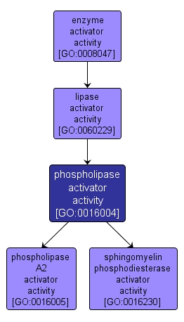 GO:0016004 - phospholipase activator activity (interactive image map)