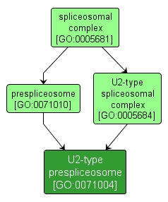 GO:0071004 - U2-type prespliceosome (interactive image map)