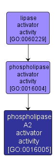 GO:0016005 - phospholipase A2 activator activity (interactive image map)