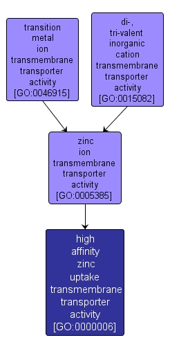 GO:0000006 - high affinity zinc uptake transmembrane transporter activity (interactive image map)