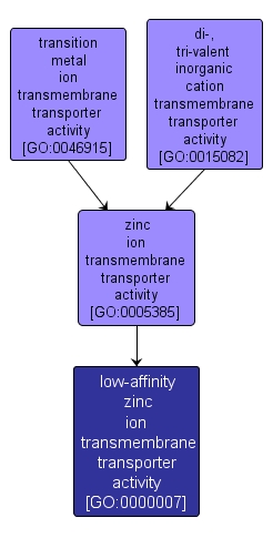 GO:0000007 - low-affinity zinc ion transmembrane transporter activity (interactive image map)