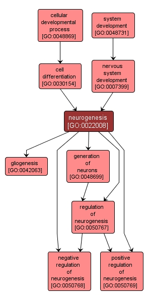 GO:0022008 - neurogenesis (interactive image map)