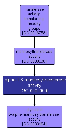 GO:0000009 - alpha-1,6-mannosyltransferase activity (interactive image map)