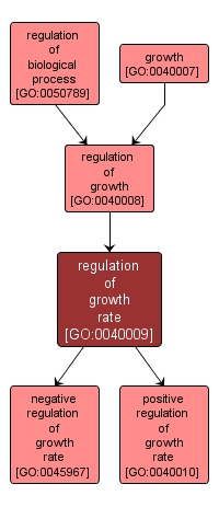 GO:0040009 - regulation of growth rate (interactive image map)