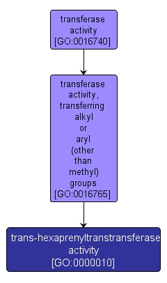 GO:0000010 - trans-hexaprenyltranstransferase activity (interactive image map)