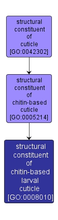GO:0008010 - structural constituent of chitin-based larval cuticle (interactive image map)