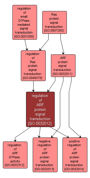 GO:0032012 - regulation of ARF protein signal transduction (interactive image map)