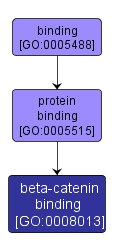 GO:0008013 - beta-catenin binding (interactive image map)