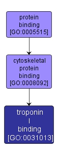 GO:0031013 - troponin I binding (interactive image map)