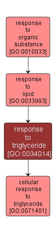 GO:0034014 - response to triglyceride (interactive image map)