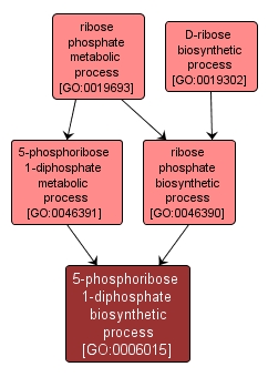 GO:0006015 - 5-phosphoribose 1-diphosphate biosynthetic process (interactive image map)
