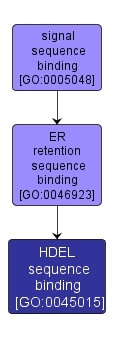GO:0045015 - HDEL sequence binding (interactive image map)