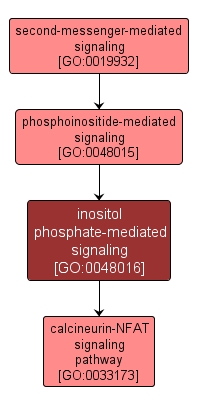 GO:0048016 - inositol phosphate-mediated signaling (interactive image map)
