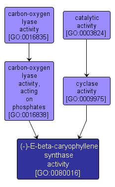 GO:0080016 - (-)-E-beta-caryophyllene synthase activity (interactive image map)