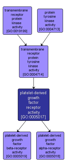 GO:0005017 - platelet-derived growth factor receptor activity (interactive image map)