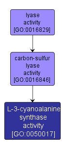 GO:0050017 - L-3-cyanoalanine synthase activity (interactive image map)
