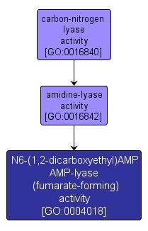 GO:0004018 - N6-(1,2-dicarboxyethyl)AMP AMP-lyase (fumarate-forming) activity (interactive image map)