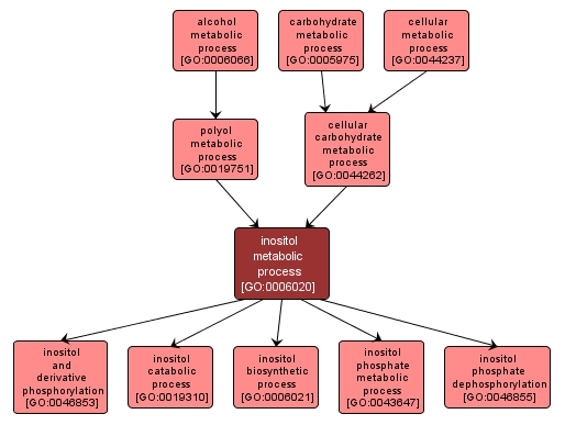 GO:0006020 - inositol metabolic process (interactive image map)