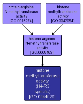 GO:0044020 - histone methyltransferase activity (H4-R3 specific) (interactive image map)