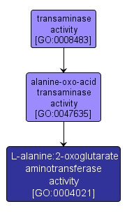 GO:0004021 - L-alanine:2-oxoglutarate aminotransferase activity (interactive image map)