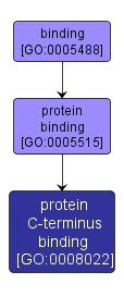 GO:0008022 - protein C-terminus binding (interactive image map)