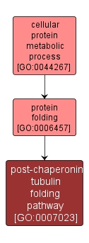 GO:0007023 - post-chaperonin tubulin folding pathway (interactive image map)