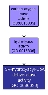 GO:0080023 - 3R-hydroxyacyl-CoA dehydratase activity (interactive image map)