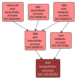 GO:0010025 - wax biosynthetic process (interactive image map)