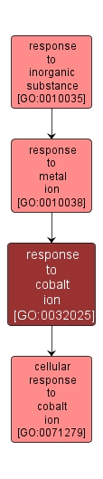 GO:0032025 - response to cobalt ion (interactive image map)