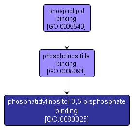 GO:0080025 - phosphatidylinositol-3,5-bisphosphate binding (interactive image map)