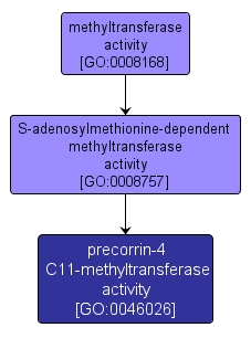 GO:0046026 - precorrin-4 C11-methyltransferase activity (interactive image map)