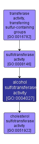 GO:0004027 - alcohol sulfotransferase activity (interactive image map)