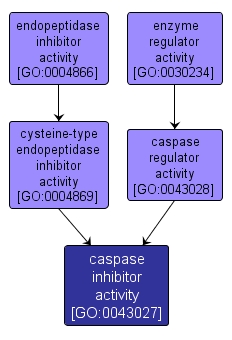 GO:0043027 - caspase inhibitor activity (interactive image map)