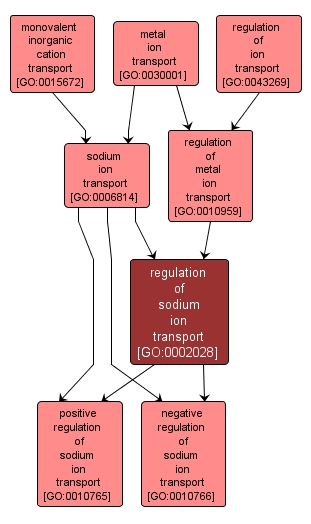 GO:0002028 - regulation of sodium ion transport (interactive image map)