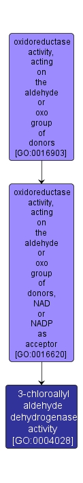 GO:0004028 - 3-chloroallyl aldehyde dehydrogenase activity (interactive image map)