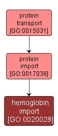 GO:0020028 - hemoglobin import (interactive image map)