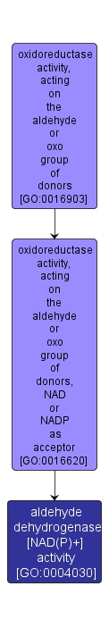GO:0004030 - aldehyde dehydrogenase [NAD(P)+] activity (interactive image map)