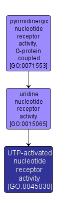 GO:0045030 - UTP-activated nucleotide receptor activity (interactive image map)