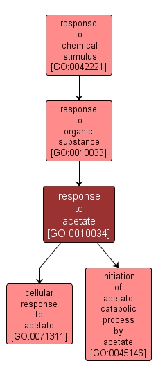 GO:0010034 - response to acetate (interactive image map)