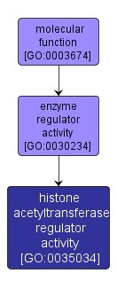 GO:0035034 - histone acetyltransferase regulator activity (interactive image map)